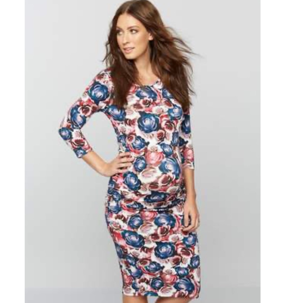 Isabella Oliver for A Pea In The Pod Size 3 (fits 8) Maternity Rose Floral Pink